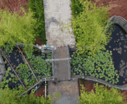 jpeg-optimizer_Screenshot 2022-11-17 at 1.01.39 PM